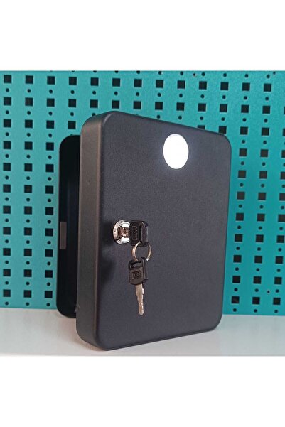 Acil Pano خزانة مفاتيح 20 قطعة 16x20x8 سم