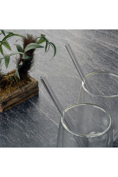 SİHİRLİ AYAKLAR 6 Pieces Glass Transparent Straw Cocktail Set