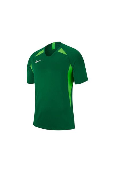 Nike Green Men's Football Jersey - M Nk Dry Legend Jsy Ss Aj0998-302