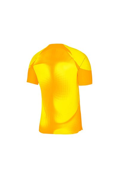 Nike Ανδρικός τερματοφύλακας ποδοσφαίρου - M Nk Dfadv Gardien iv Gk Jsyss DH7760-719 Κίτρινο