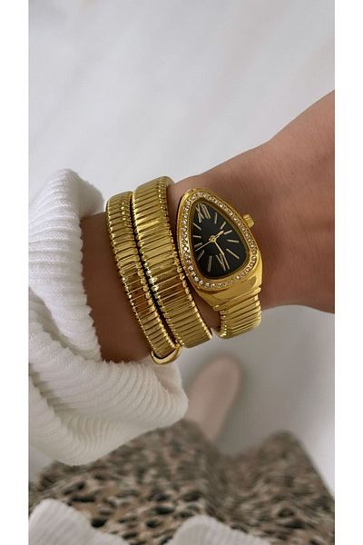 Spectrum Snake Model Wristwatch