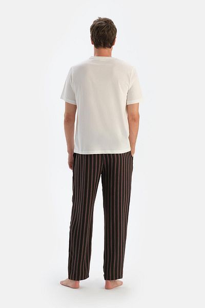Dagi Παντελόνι με ρίγες Viscose Brown