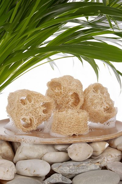 Şık Kalıp 10 Cm Natural Pumpkin Fiber - Decorative Gift Body Dish Cleaning