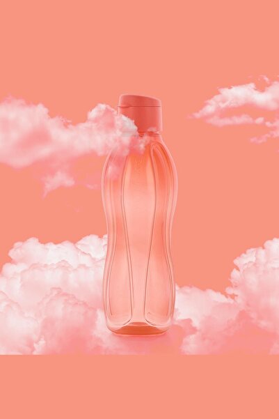 Tupperware Eco Bottle Water Bottle Easy Lid Navy Blue And Watermelon Pink 1l 2 Pack