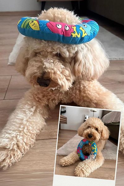 Havhav Plush Bagels Coast Pawn Themed Dog Toy - Dog Sleeping Companion Ideal for Horse-get Games