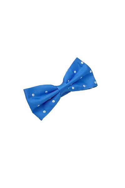 Brianze Light Blue White Polka Dot Bow Tie