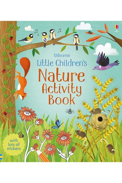 Usborne Little Childrens Nature Activity Book