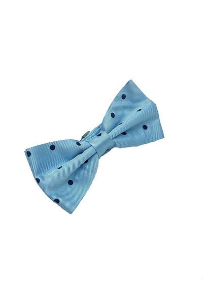 Brianze Blue Navy Blue Dotted Bow Tie