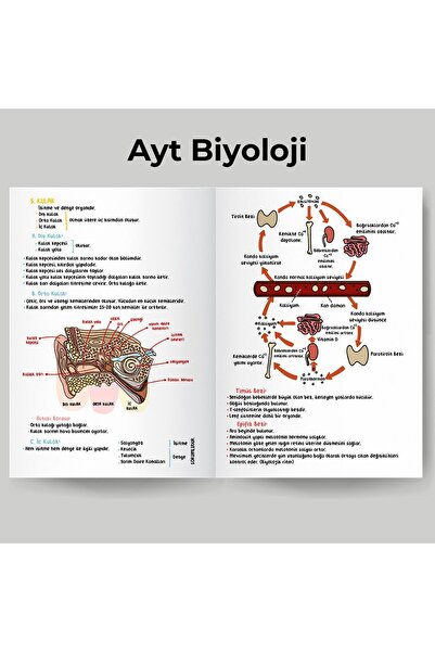 Vin Kampüs Ayt Sayısal Konu Anlatım Seti Vin Kampüs Yayınları Tamamen El Yazısı DENEME İLAVELİ