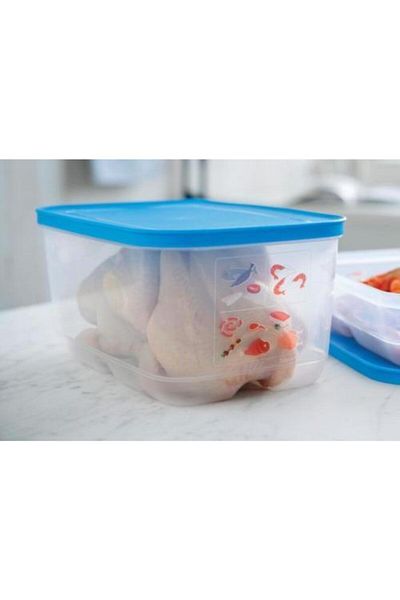 Tupperware Cool Storage Container 4.4 Lt