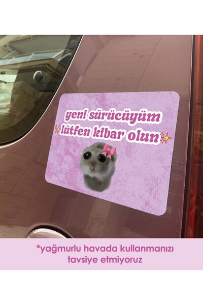 moontainills Üzgün Hamster Pembe Araba Magneti