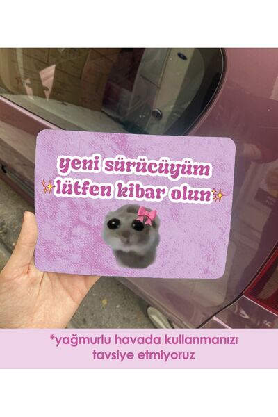 moontainills Üzgün Hamster Pembe Araba Magneti