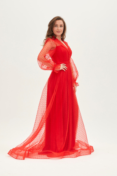 ALİS DRESS Uzun Kollu Yakalı Simli Nar Çiçeği Abiye