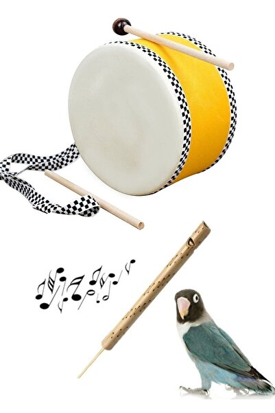 AyasEğiticiOyuncak Montessori Anaokulları Için Çocuk Davulu Oyuncak Deri Davul Tokmaklı