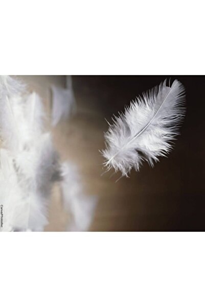 Linnda Home 1 кг гусячого пуху Elegance