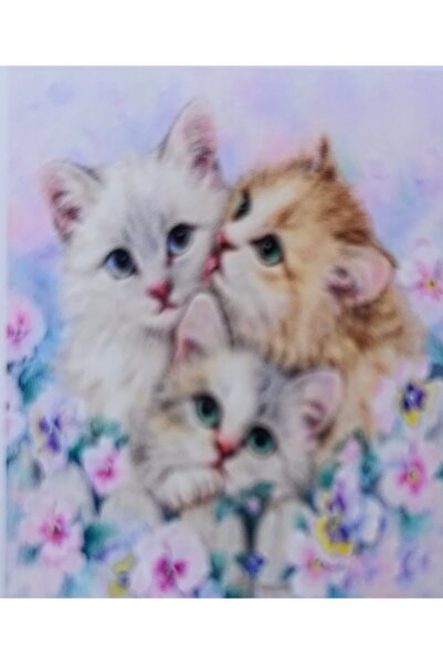 MENTAŞ Boncuklu Goblen 5d Taşlı Mozaik Elmas Goblen Diamond Picture Kıt 30x30...