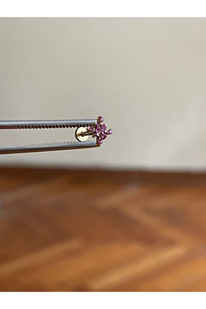 Rupen Kraft 316 L Cerrahi Çelik Dudak Piercing Kıkırdak Helix Tragus Conch Pi...