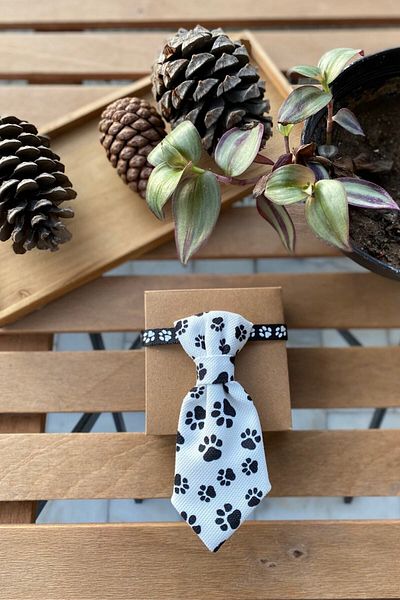 Minikpaw aksesuar Cat Tie