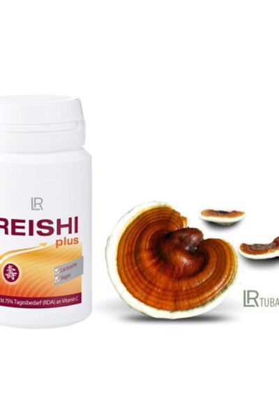 LR Reishi Plus - Comfortable and Stylish Illustrated Shoes