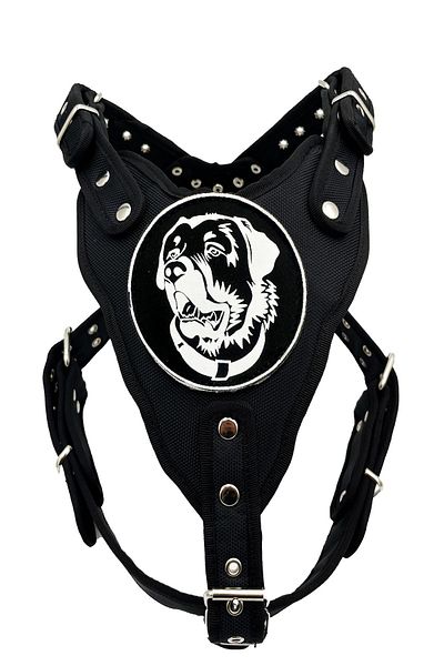 Tasma Market Premium Black KanGal - Chest and Waist Collar