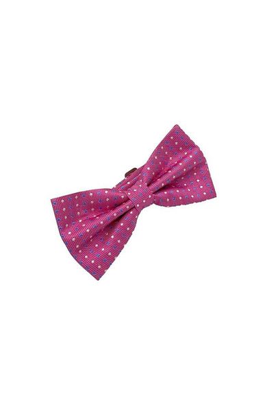 Brianze Pink Blue White Dotted Bow Tie