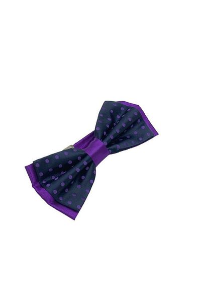 Brianze Navy Blue Purple Dot Bow Tie