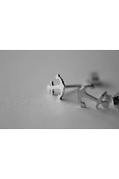 Agai Silver Çapa Model Gümüş Mnimial Küpe