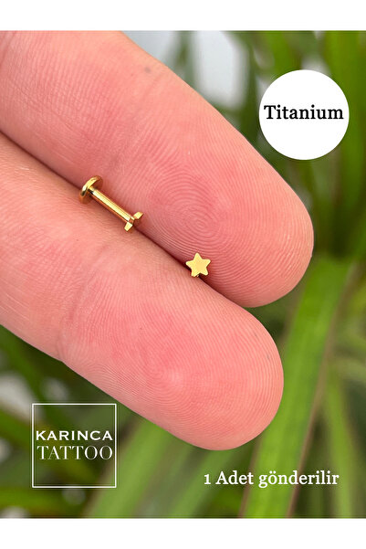 Karınca Piercing %100 Titanyum Piercing Küçük Yıldız Helix Kulak Labret Flat Conch Burun Dudak Tragus Piercingi Küpe
