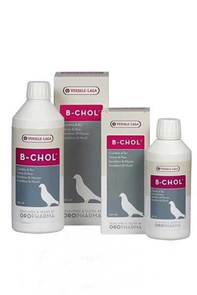 Versele Laga B-Chol Karaciğer Koruyucu Güçlendirici 30 ML (bölünmüş)