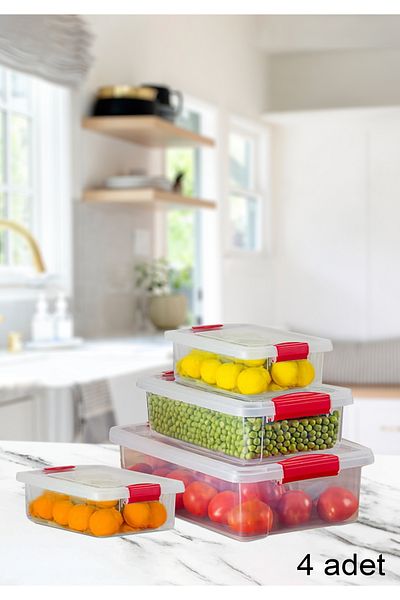 HOMİNG Homing Multi-Purpose Deep Freezer and Refrigerator Storage Container 241619