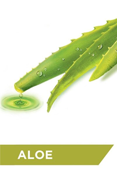 Protex Aloe Hygienic Soap 90 gr