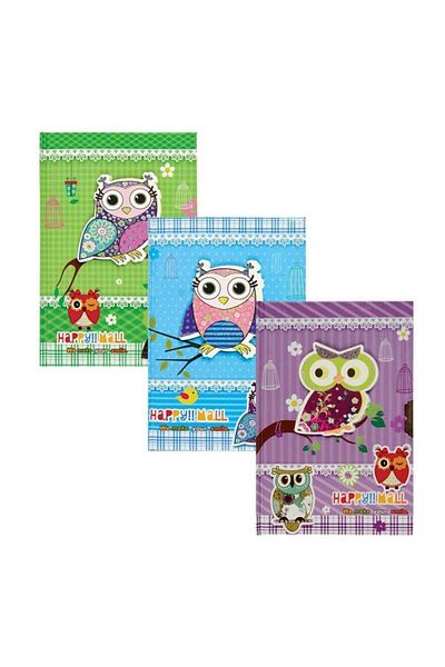 Piano Piano Htr05 Locked Memory Book - Owl