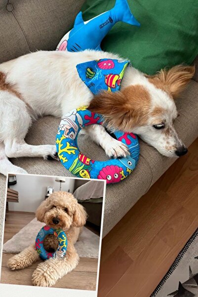 Havhav Sahil HavHavları Köpek Oyuncak Seti - Fular, Sesli Peluş Köpek Balığı, Peluş Simit Köpek Oyuncakları