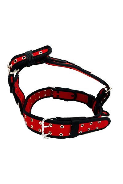 Tasma Market Red Chow Chow Chinese Lion Dog Chest Collar Waist Collar