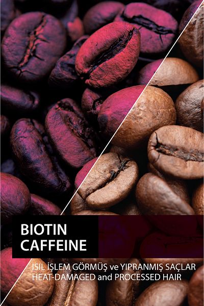 Dermoday Biotin and Caffeine Shampoo 400 ml