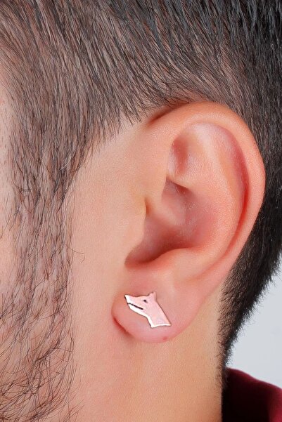 Agai Silver Bozkurt Model Gümüş Erkek Küpe