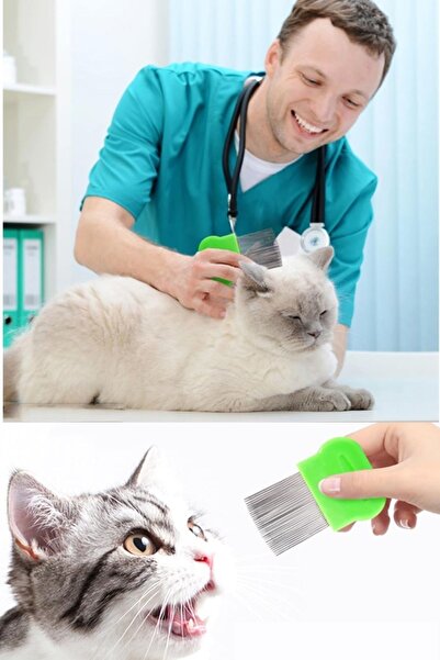 vanilinkitchen 2 Pieces Long Metal Cat Dog Flea and Flea Comb Original Product