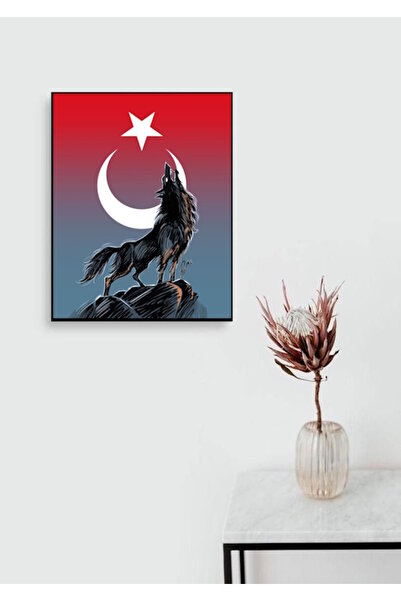 Tunax BOZKURT TÜRK BAYRAĞI KURT ÜLKÜ EV SALON OFİS DÜKKAN HEDİYELİK DUVAR DEK...