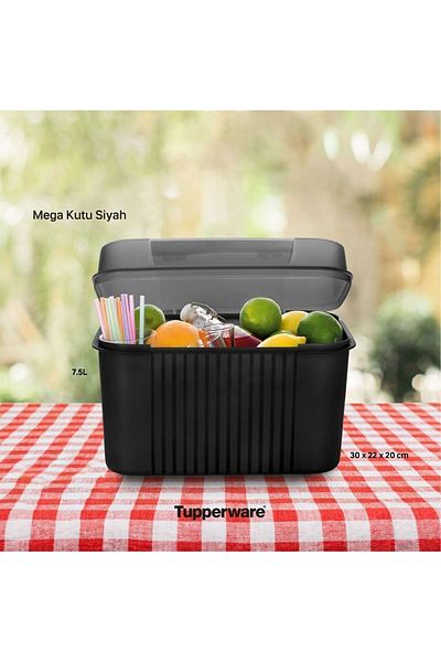 Tupperware Mega Box 7.5 Liters