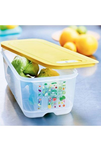 Tupperware Greenhouse 6.1 Liter Storage Container