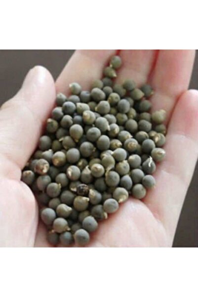 Genel Markalar Bamya Tohumu Yerli 1 Kg (ilaçsız- Yenilebilir) 1. Kalite Balıkesir Yeni Mahsül
