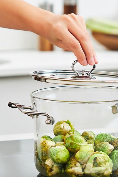 Karaca Amore Glass Deep Pot 20 Cm