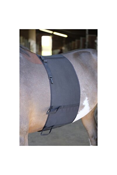 Norton Mahmuz Koruyucu