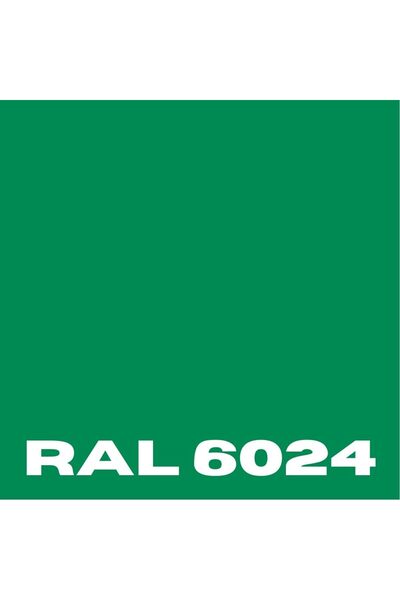 Zbs ZEMİN BOYASI 20 KG YEŞİL RAL-6024