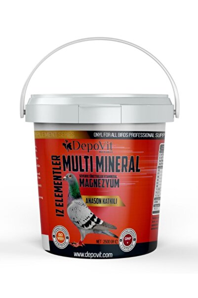 DEPOVİT Depovit Multi Mineral Kırmızı Vitamin 2,5 Kg Kova