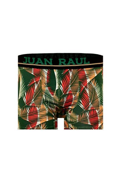 Juan Raul Ανδρικά μπόξερ με σχέδια