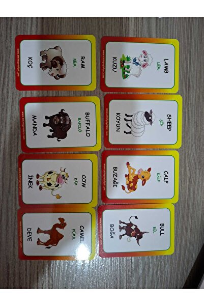 Emin Yayınları English Illustrated Word Cards Set (1-16) 1152-card