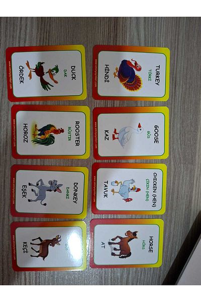 Emin Yayınları English Illustrated Word Cards Set (1-16) 1152-card