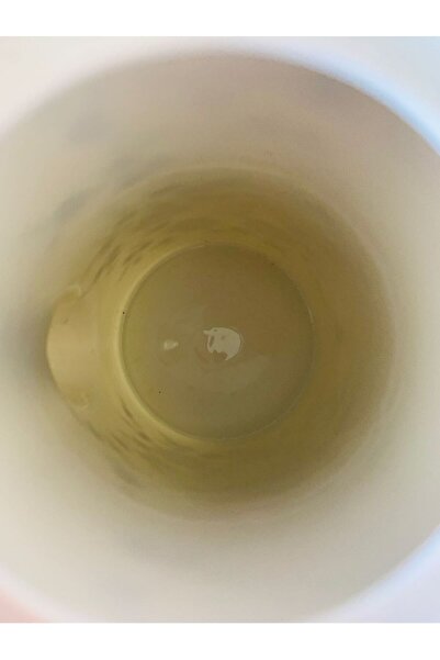 Bavaria Antika Seltmann Weiden Alman Porselen Mavi Çiçek Desenli Büyük Kahve Demleme Potu/Coffee Pot