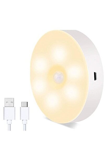 Roichil Hareket Sensörlü Usb Şarjlı Spot Lamba Mıknatıslı Ve Yapışkanlı Gün I...